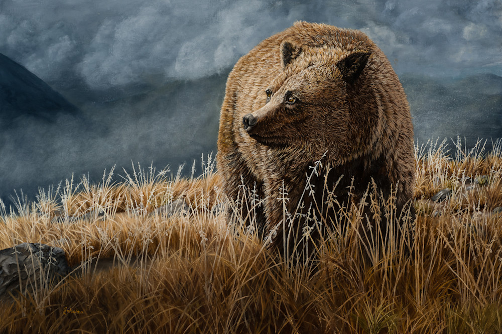 High Mountain Grizzly Art | Johanna Lerwick Wildlife Artist