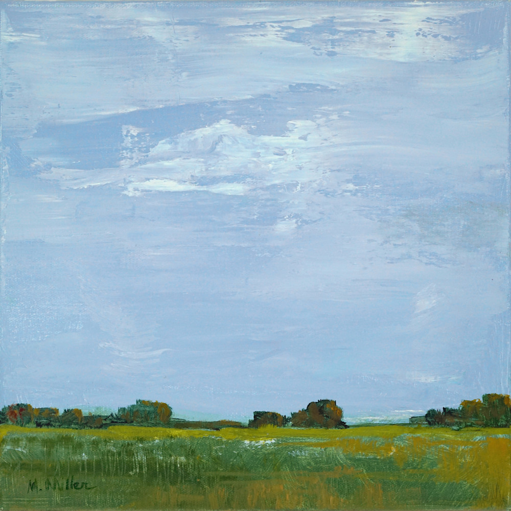 Brazos Bend State Park 4 Art | Margaret Miller