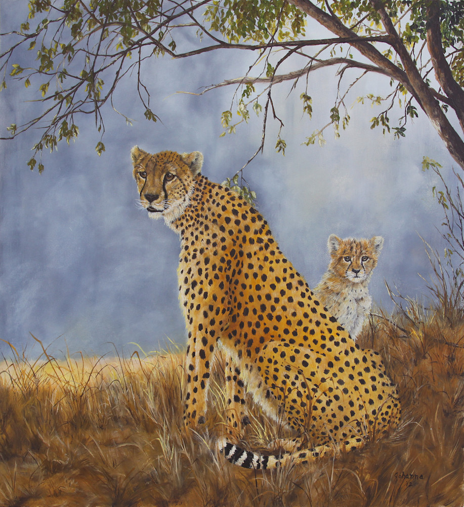 Cheetah With Cub Art | Johanna Lerwick Wildlife Artist