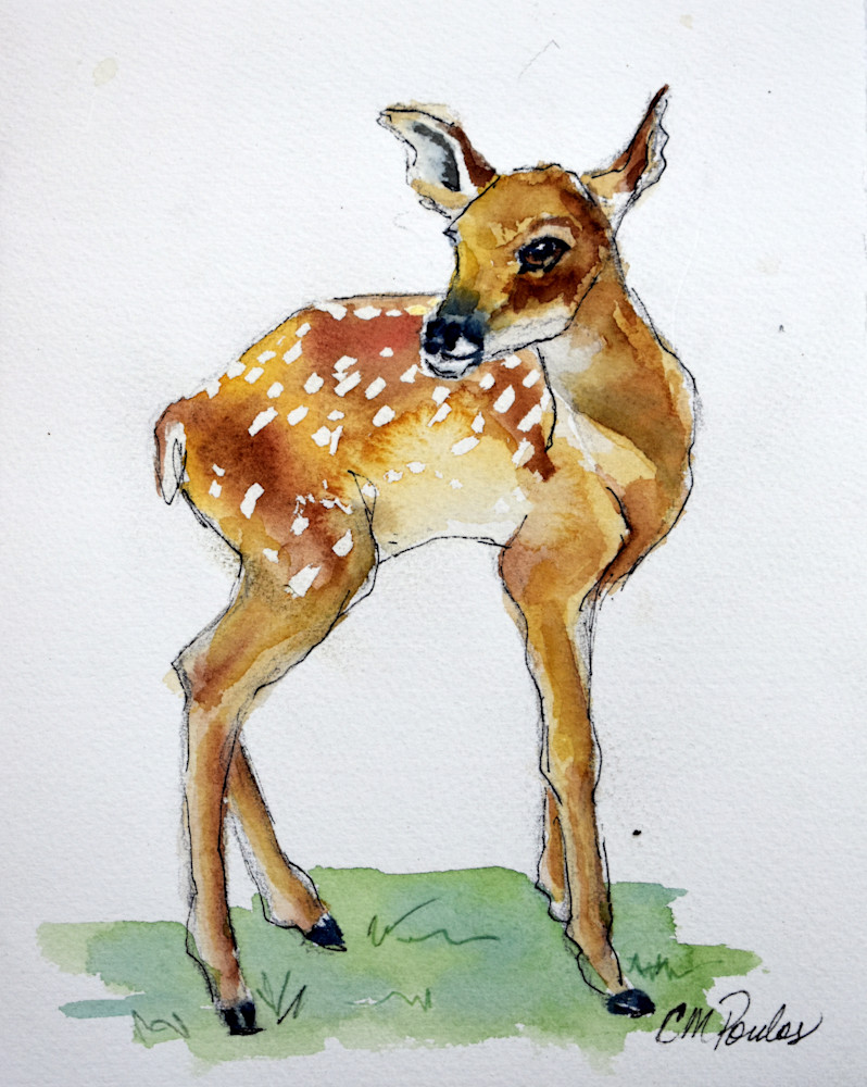 Baby Deer Art | Cathy Poulos Art