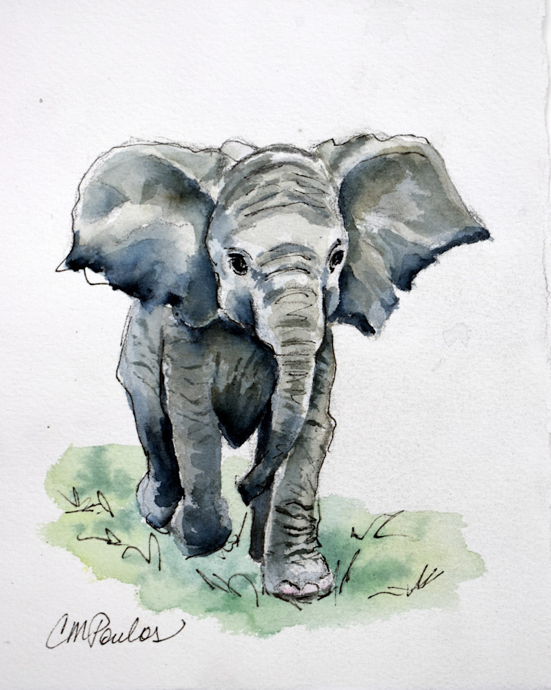 Baby Elephant Art | Cathy Poulos Art