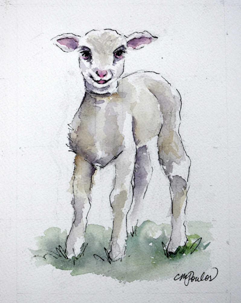 Baby Lamb Edited Art | Cathy Poulos Art