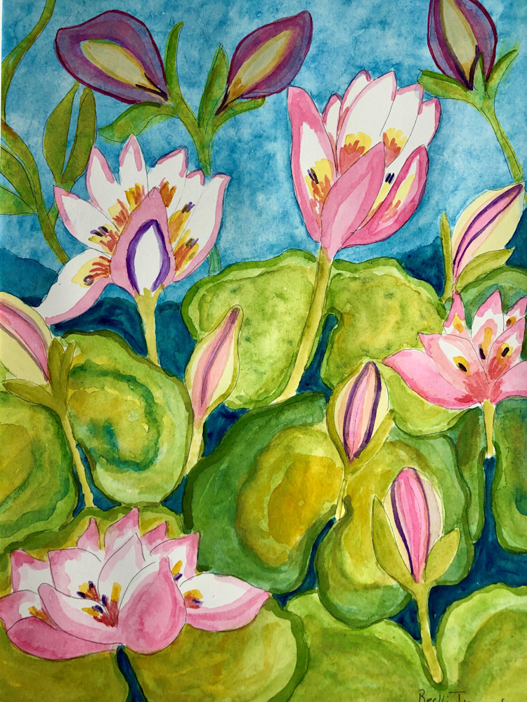 Pink Pond Lilies Art | Becki Thomas Art