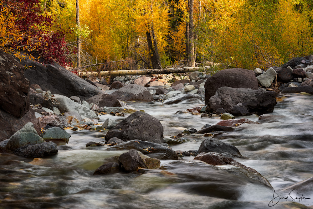 Tranquil Fall Stream Photography Art | Mountain West Photography