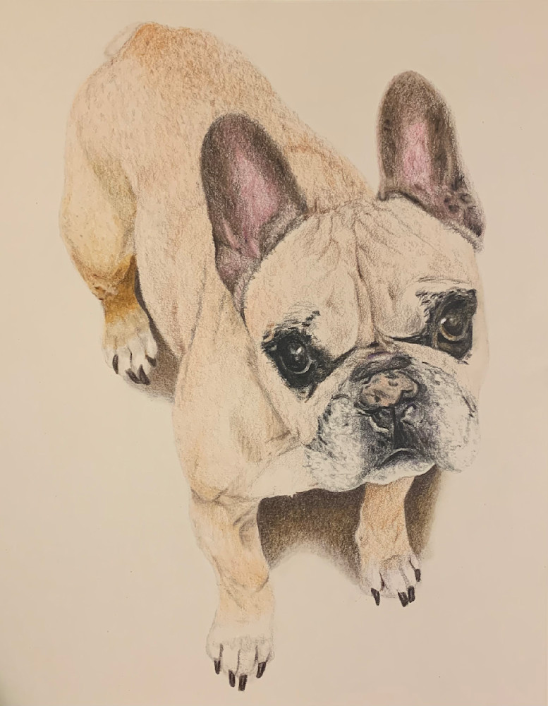 Mugsy - Todd Kreisman Art