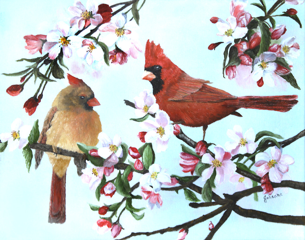 Cardinals And Apple Blossoms Art | Johanna Lerwick Wildlife Artist