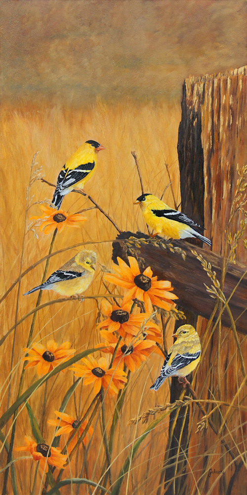 Golden Treasures   Goldfinches Art | Johanna Lerwick Wildlife Artist