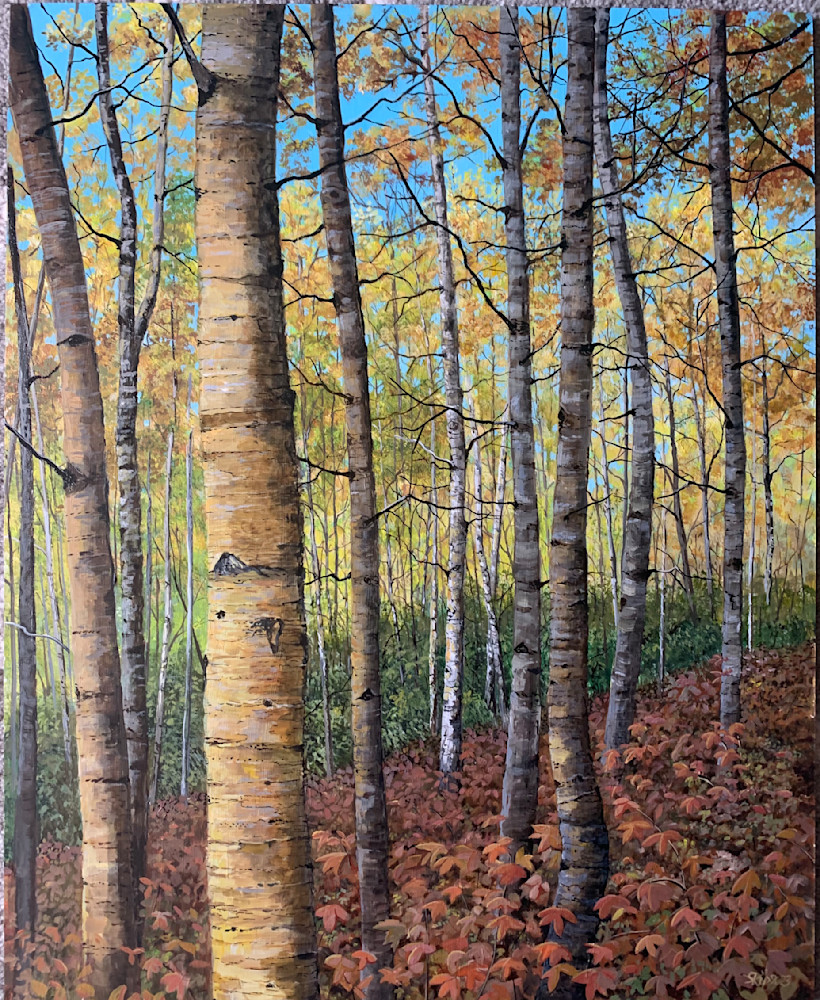 Birches In The Afternoon Art | Skip Marsh Art