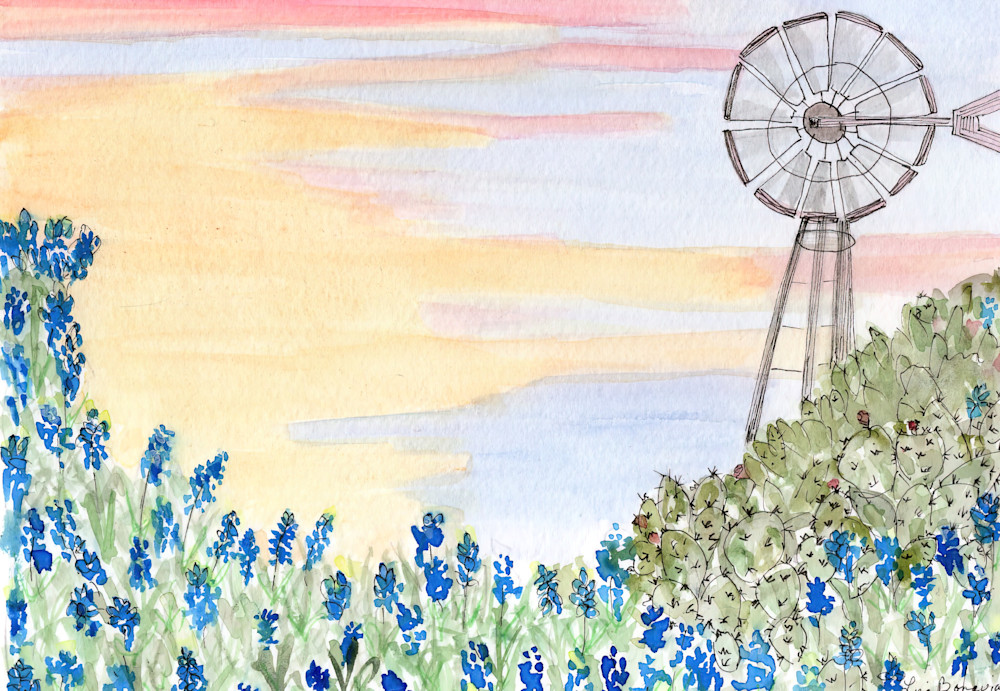 Blue Bonnets Sunset Windmill 4