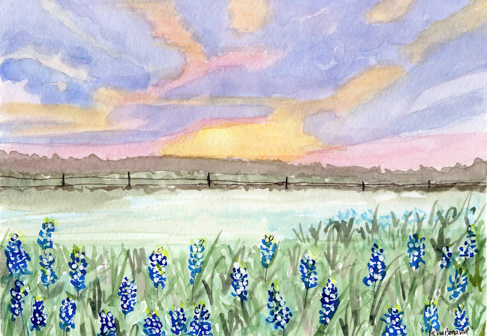 Blue Bonnets And Sunset 2