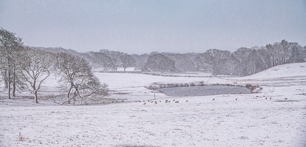 Chilmark Winter Field Art | Michael Blanchard Inspirational Photography - Crossroads Gallery