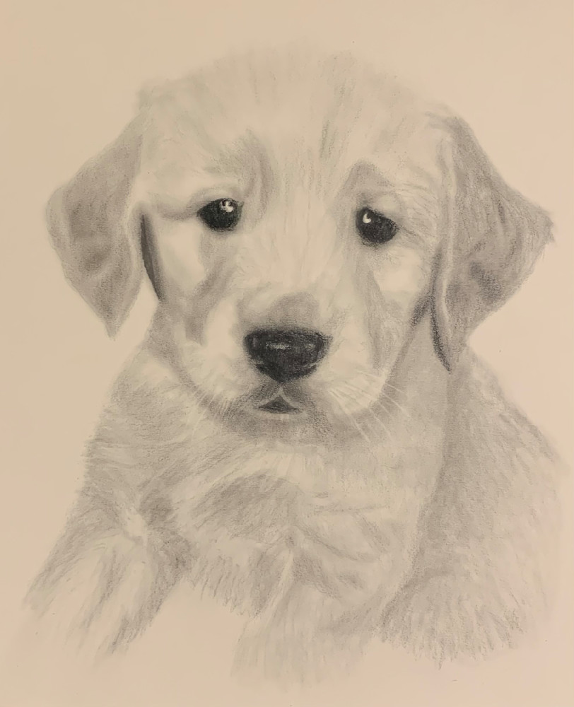 Abbie - Todd Kreisman Art