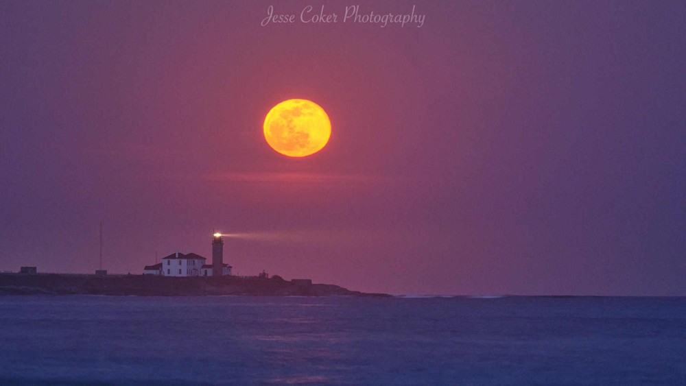Worm Moon Photography Art | Jesse Coker Photography