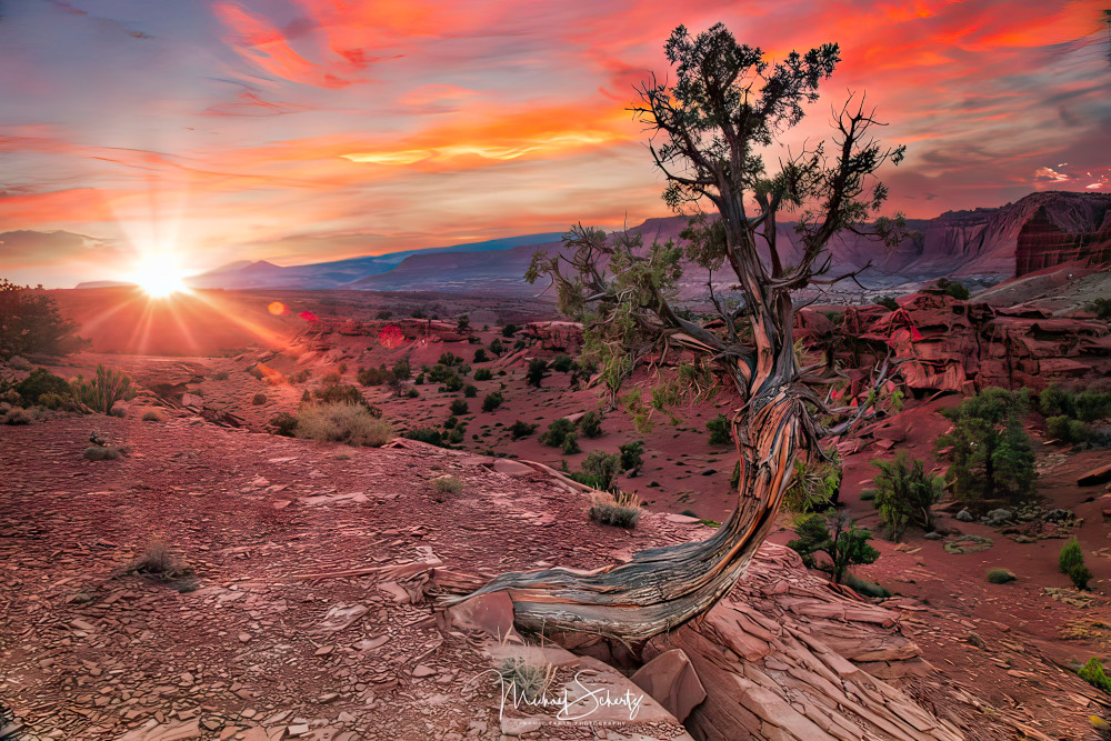 Inner Peace @ Sunset Art | dynamicearthphotos