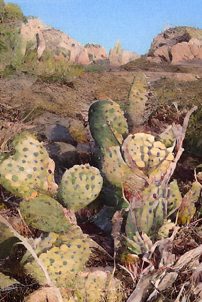 Prickly Pear Cactus in the Desert