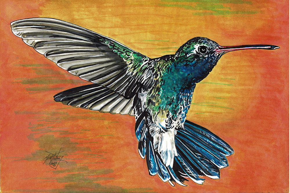 Hummingbird Art | portnoygallery