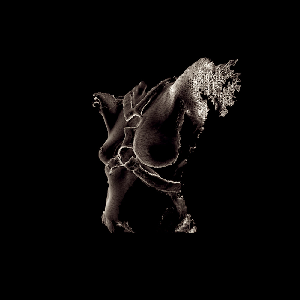 Harness With Wings Art | Handmade Future Studio by Lisa Niedermeyer