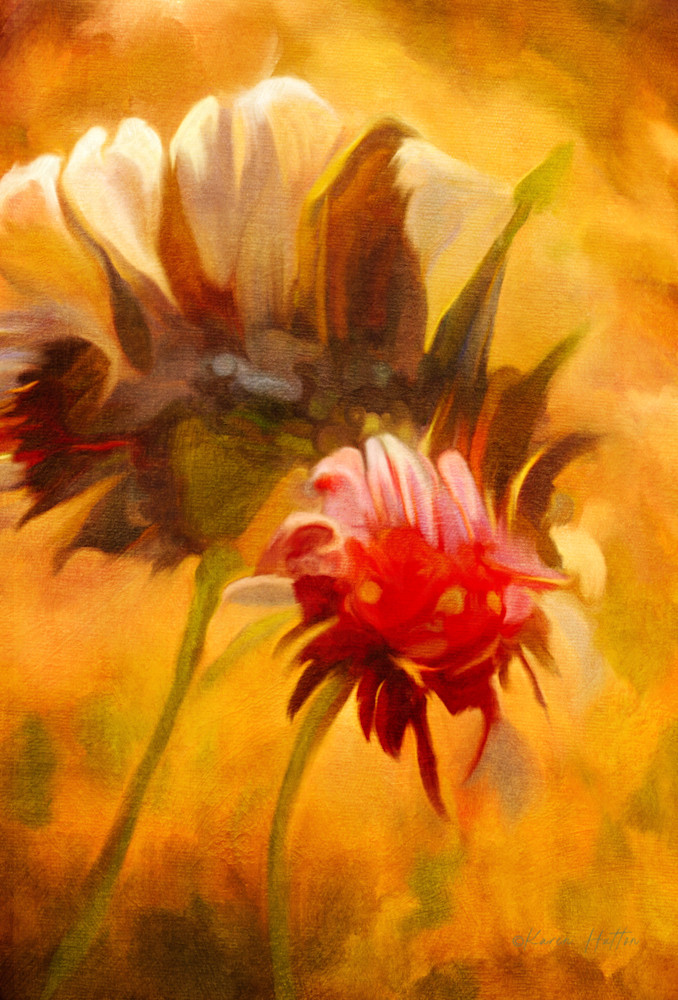Strawflower Afternoon Art | Karen Hutton Fine Art