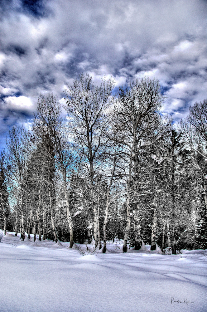 Winter At Tamarack, Idaho Photography Art | David Ryan Photography