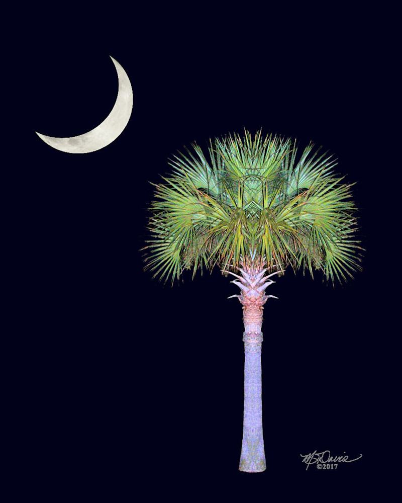Palmetto Moon Photography Art | Davis Photo Art LLC