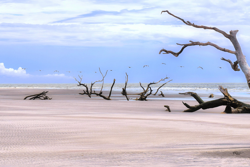 Pelicans O'er The Boneyard Photography Art | Davis Photo Art LLC