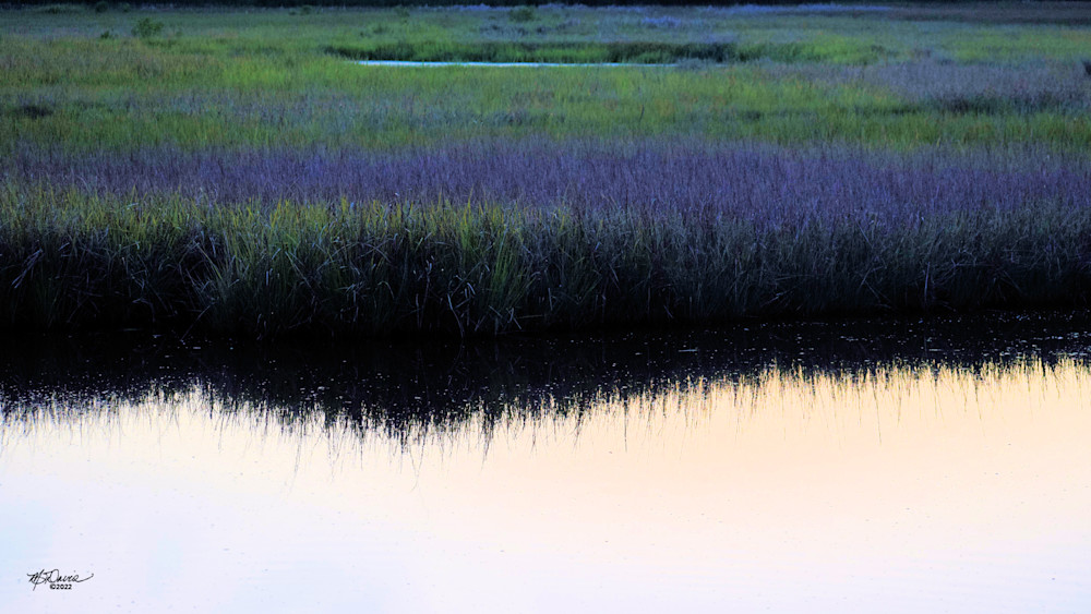Purple Marsh Photography Art | Davis Photo Art LLC