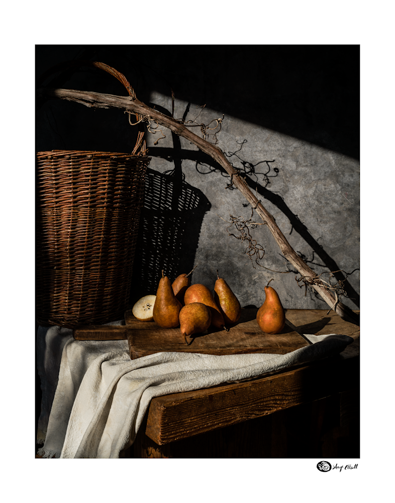 Bosc Pears In Winter Sun (With Border) Photography Art | The Elliott Homestead, Inc.