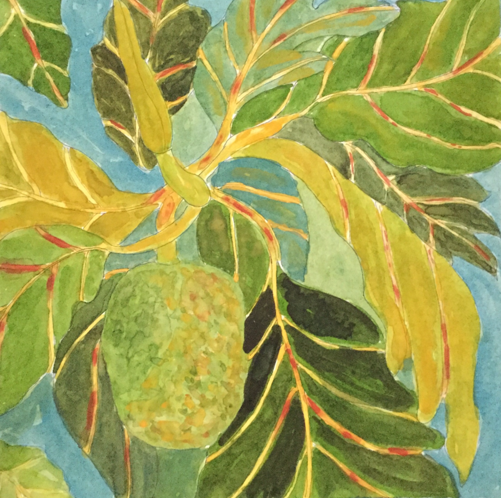Breadfruit Art | Becki Thomas Art