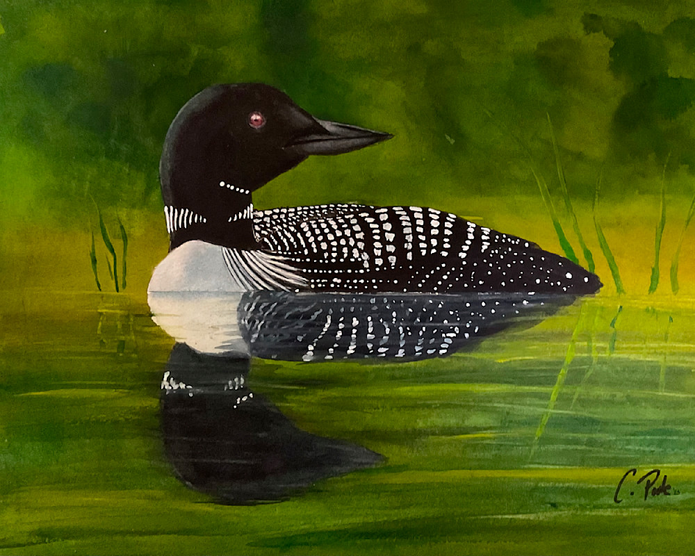 Loon In Summer  Art | Cate Poole Water Colors