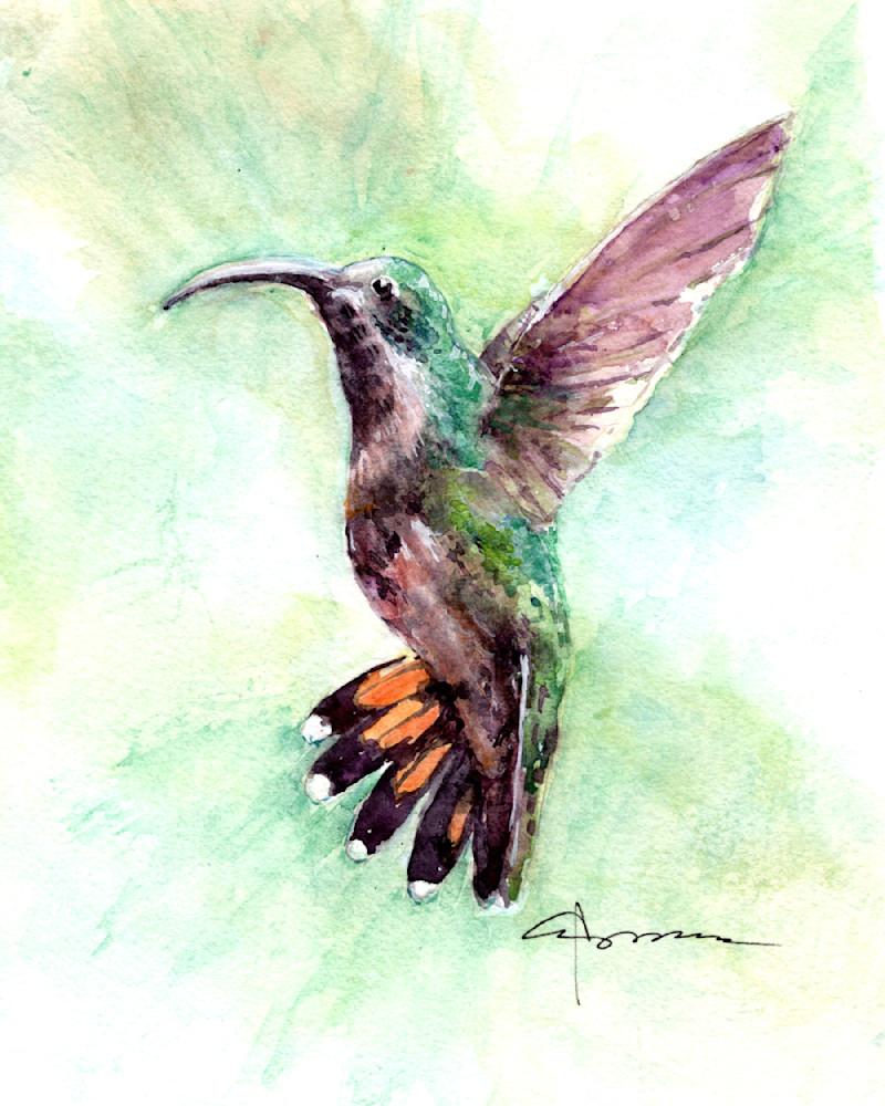 Hummingbird in Green Watercolor Print | Claudia Hafner Watercolor