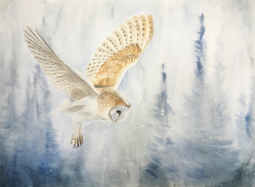 Barn Owl "Dream Catcher" 