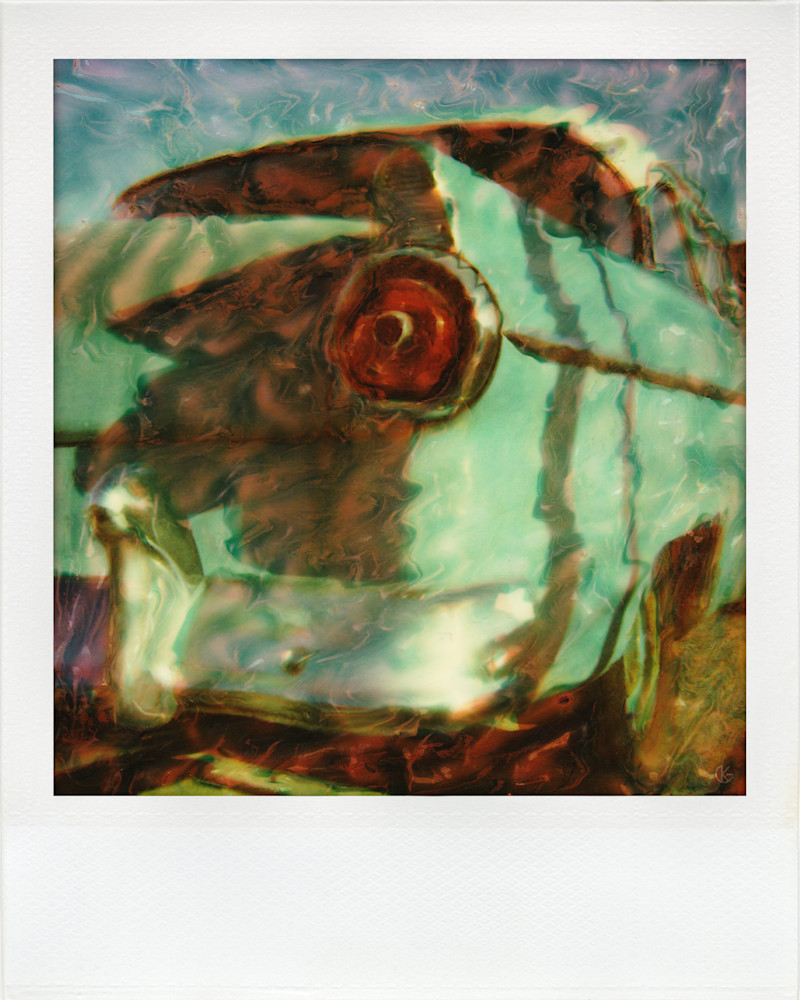 Polaroid Frame Customline Ford Kg Art | kevingarrison