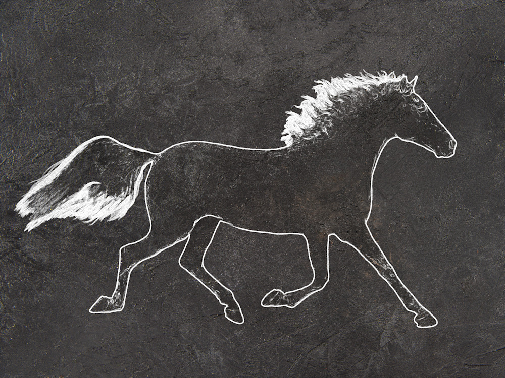 Black and White minimalist horse painting.