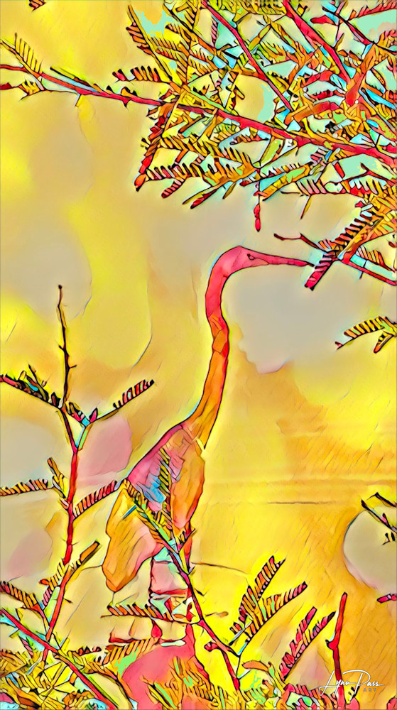 Great Heron In The Sunshine Art | Lynn Pass Art