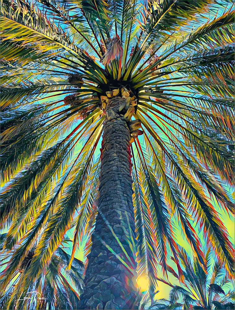 Sun Streaming Through Palm Art | Lynn Pass Art