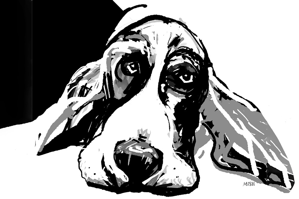 Bashful Basset Hound Art | Mish Murphy Fine Art