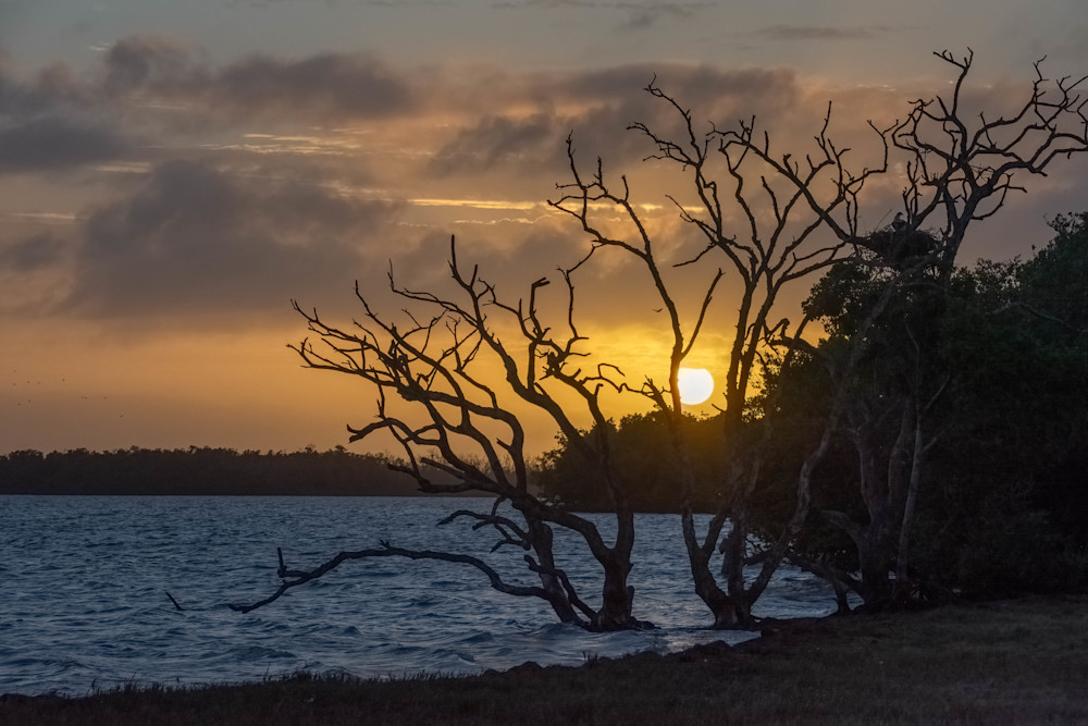 Everglades Sunset Photography Art | Images by Robert Barr