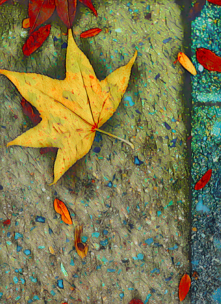 Fallen Leaves 1 Art | Virginia Mangrum