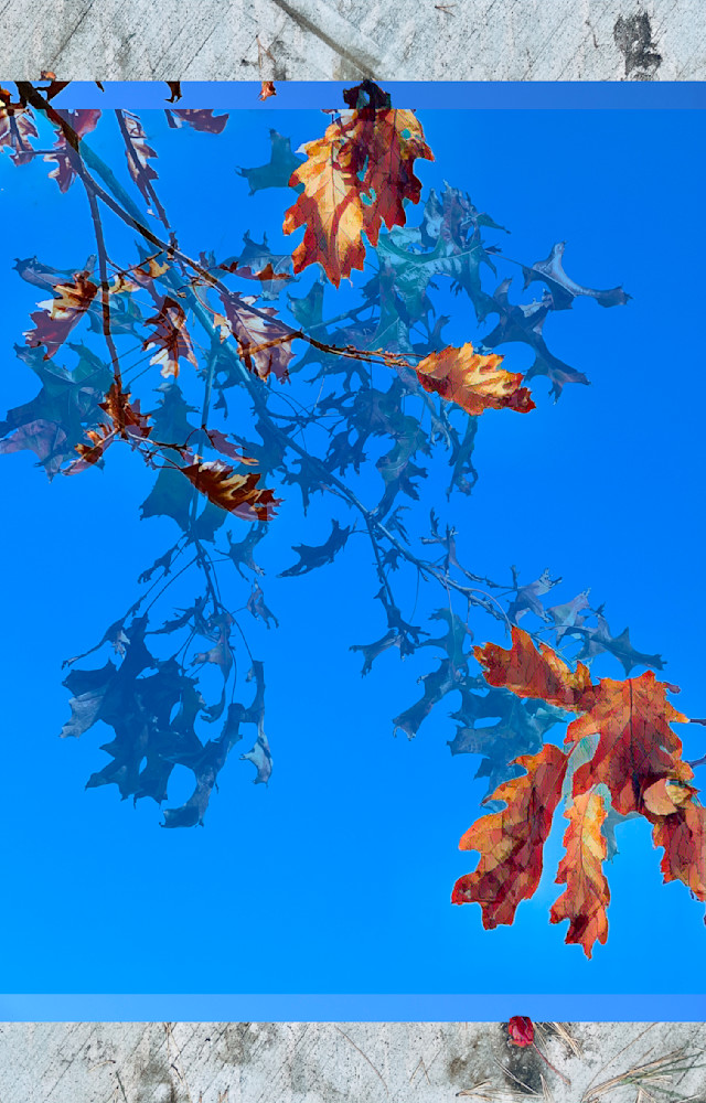 Leaves No.1 Art | Virginia Mangrum