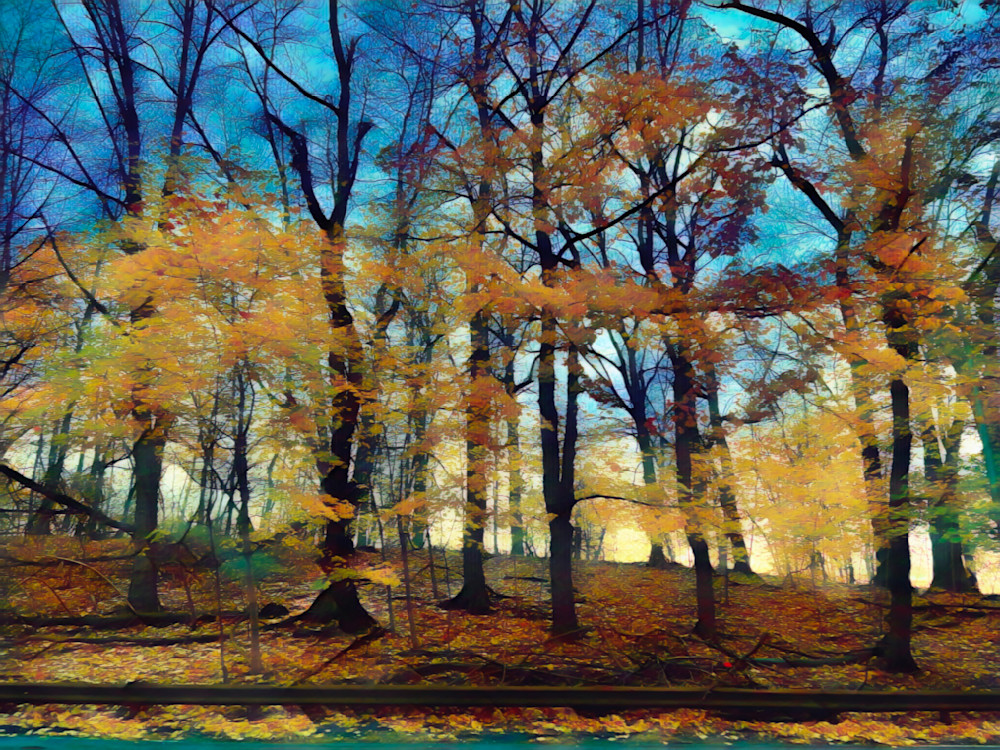 Forest No.2  Art | Virginia Mangrum