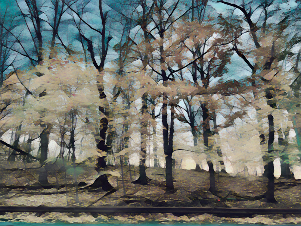 Forest No.1 Art | Virginia Mangrum