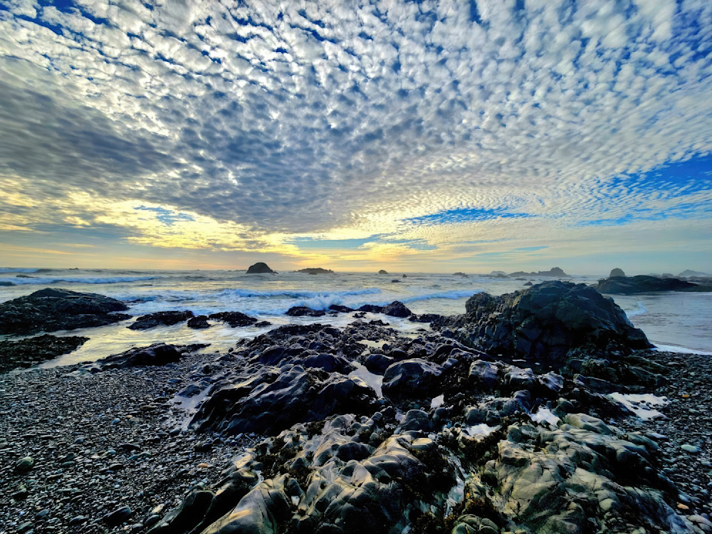 Beach Rocks Art | Dawn Hickey