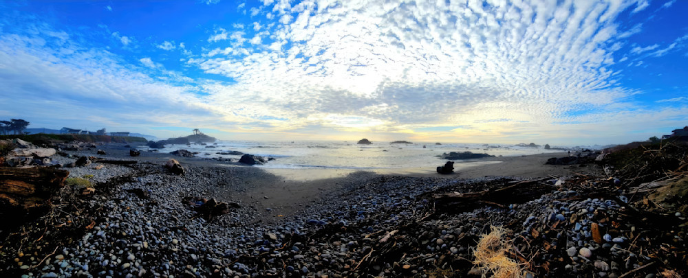 Ocean View Art | Dawn Hickey