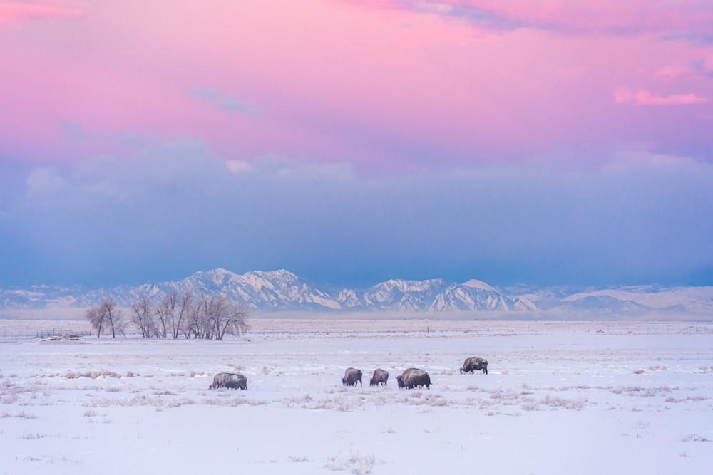 Cotton Candy Skies. Colorado Photography Art | Kelley Dallas Photography