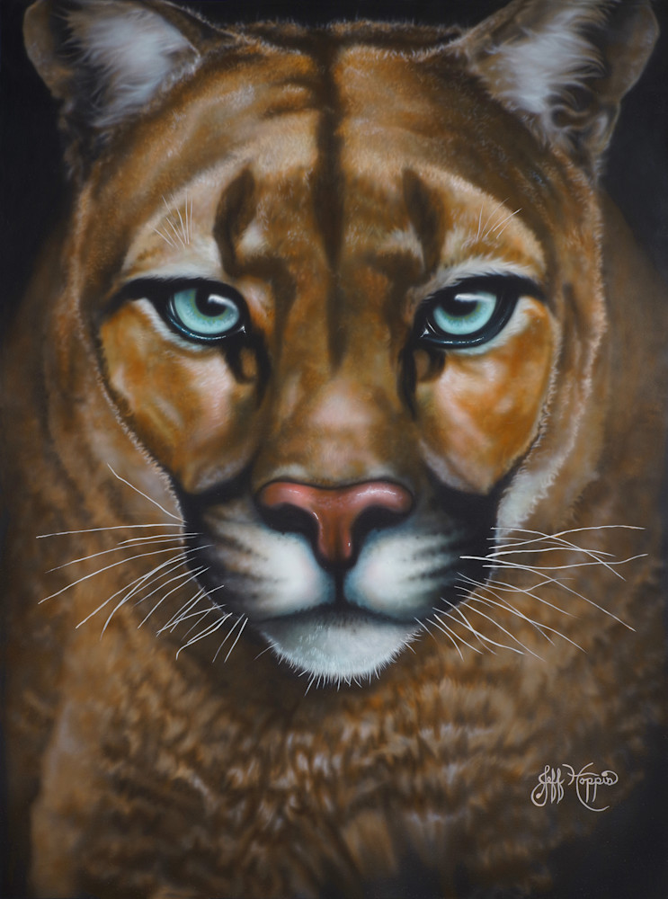 She's A Cougar Art | Jeff Hoppis