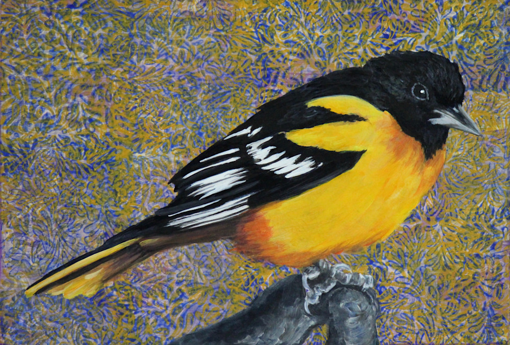 Baltimore Oriole Art | Lorelle Carr Fine Art