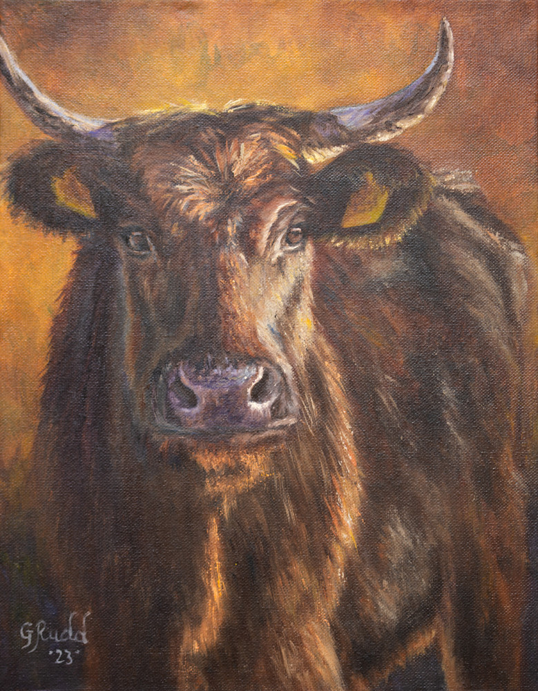 Red Cow Art | Fine Art by Gloria Rudd