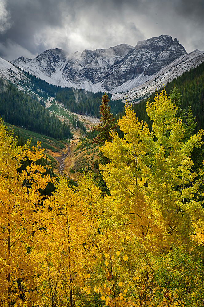 Fall Color On Ophir Pass Photography Art | Nicholas Jensen Photography