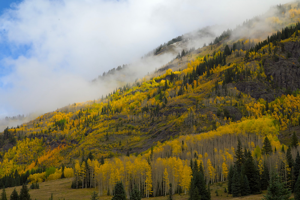 Hills Of Gold Photography Art | Nicholas Jensen Photography