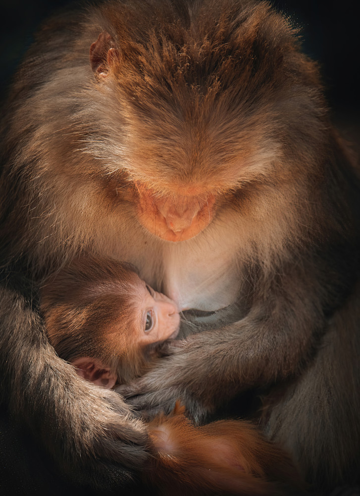 A Mother's Embrace   Kathmandu, Nepal Photography Art | matthewryanphoto